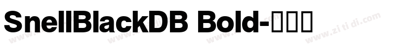 SnellBlackDB Bold字体转换
